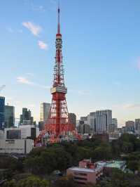 【東京ホテル】東京タワーを独り占め！