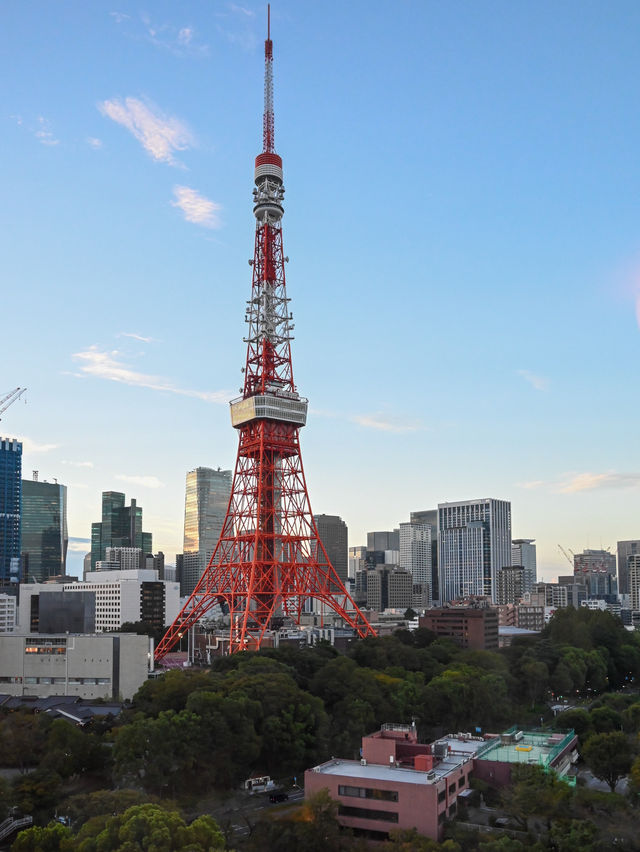 【東京ホテル】東京タワーを独り占め！