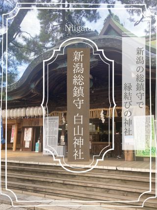 【니가타】니가타의 총진수로 인연의 신사 「니가타 총진수 하쿠산 신사」