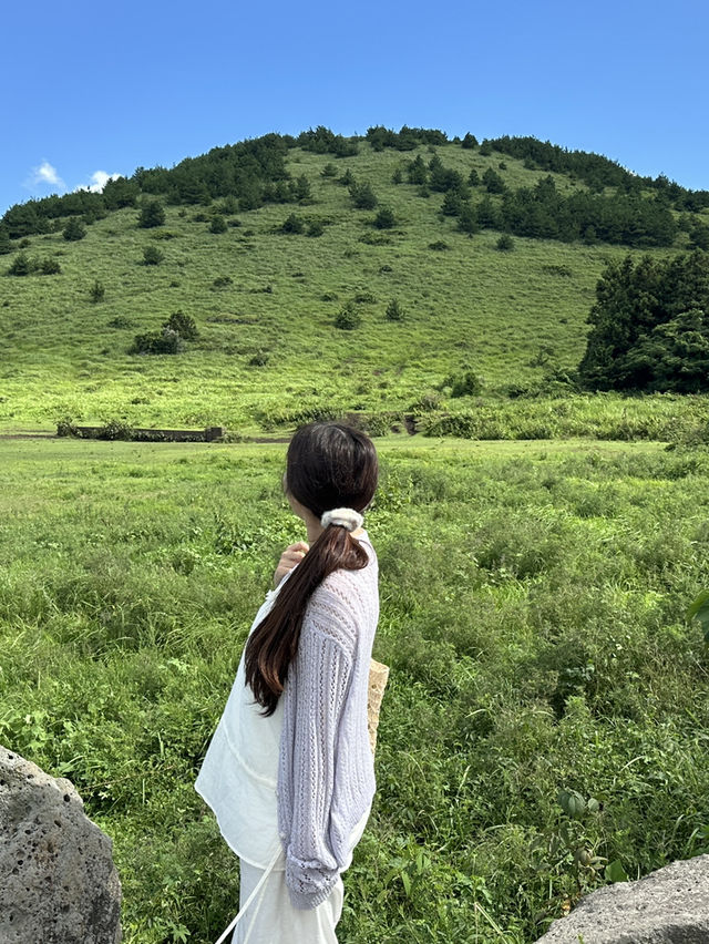 제주에서 날씨가 좋다면 오름으로 가세요🤍