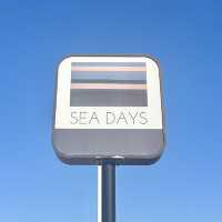 【日本🇯🇵千葉/カフェ🌊】 SEA DAYS