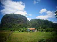 🇨🇺 쿠바 비냘레스(Viñales) 🌿🏞️