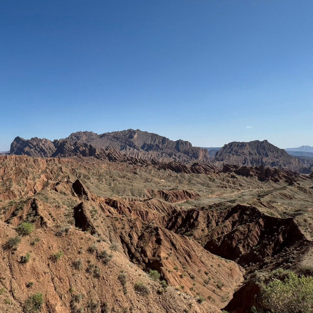 Red Majesty: Wensu’s Wild Wonder Red Majesty: Wensu’s Wild Wonder