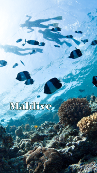 มัลดีฟส์ (Maldive)