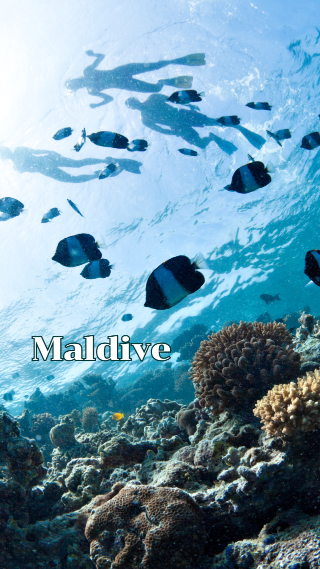 มัลดีฟส์ (Maldive) มัลดีฟส์ (Maldive)