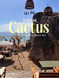 Cactus คาเฟ่กระบองเพชร 🌵✨