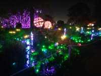 ✨An Enchanted Evening✨