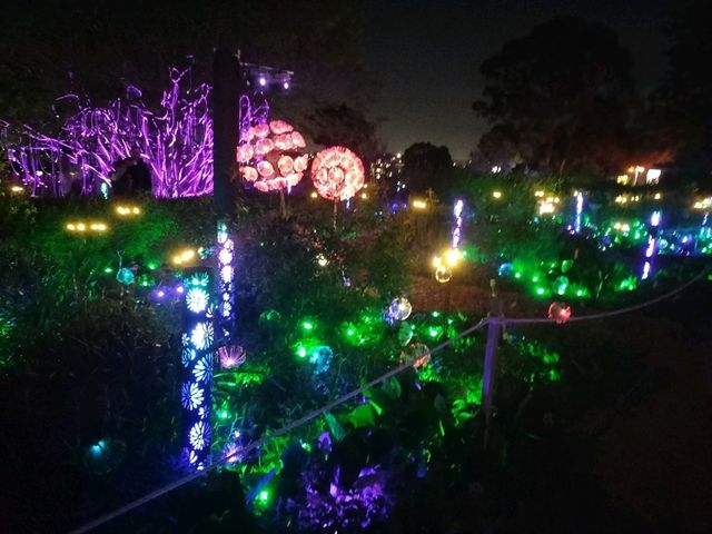 ✨An Enchanted Evening✨