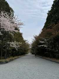 THE HOKKAIDO SHRINE.