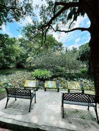 Taman Botani Perdana: Serene Green Escape in the Heart of KL