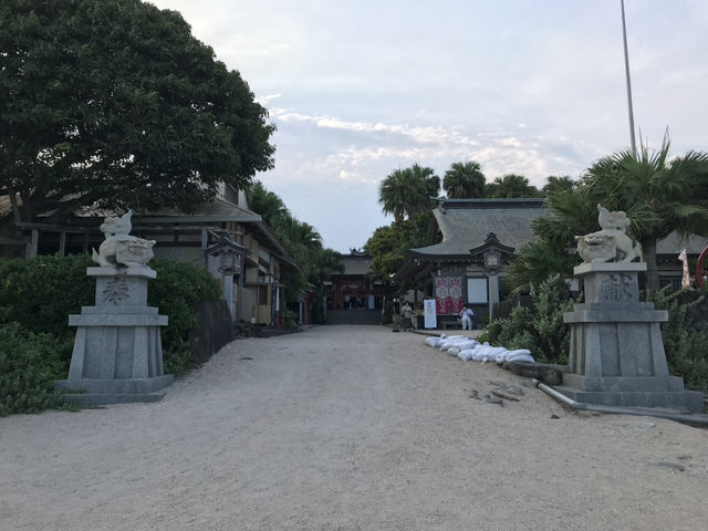 【宮崎】青島神社で叶える恋の願い🌴南国の縁結び旅💖