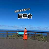 座間味島で海遊び＆自然を満喫❣️