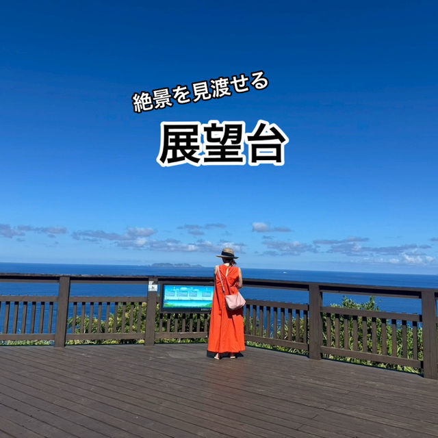座間味島で海遊び＆自然を満喫❣️