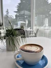 瓦納卡之樹打卡靚景🌳