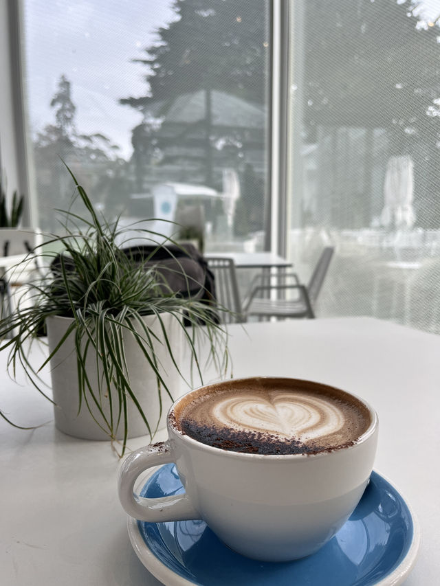 瓦納卡之樹打卡靚景🌳 瓦納卡之樹打卡靚景🌳