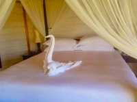 Kuredu Island Resort & Spa – Fun and Relaxation for Everyone