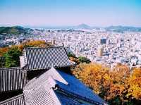 Sky Fortress of Shikoku: My Solo Visit to Matsuyama Castle