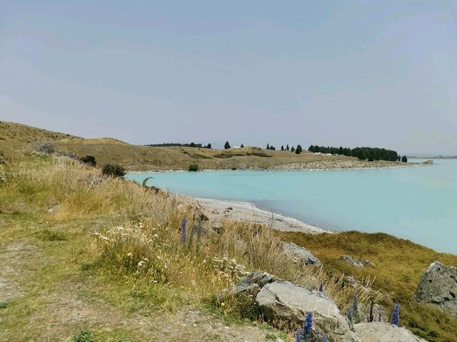 🇳🇿 New Zealand Road Trip - เล่าเรื่องด้วยภาพ#13