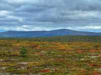 🌌 Lemmenjoki National Park – The Wild Soul of Finnish Lapland