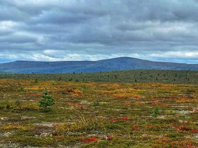 🌌 Lemmenjoki National Park – The Wild Soul of Finnish Lapland