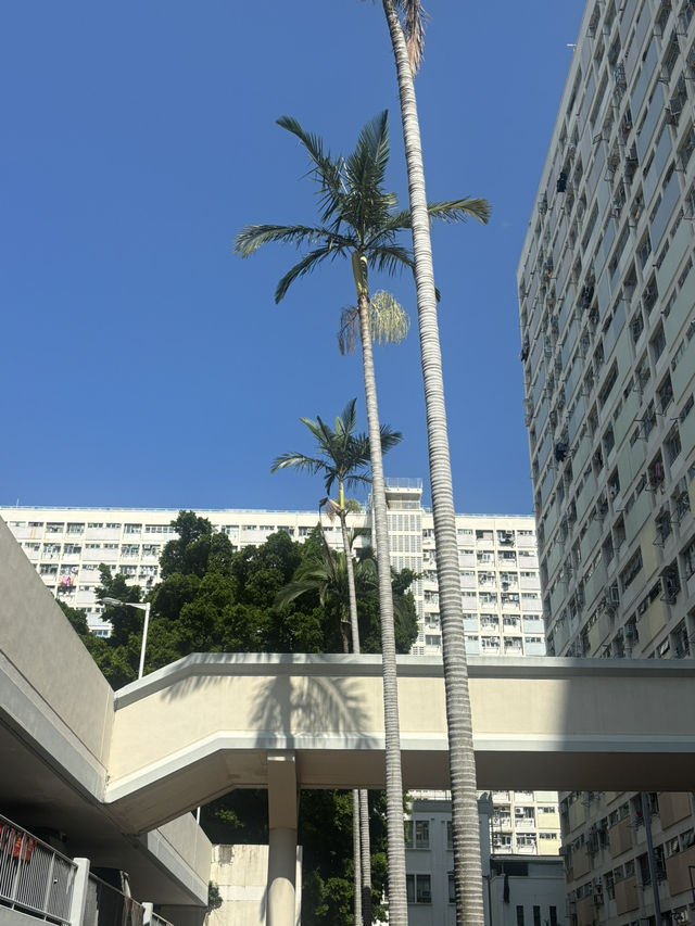 초이홍 아파트