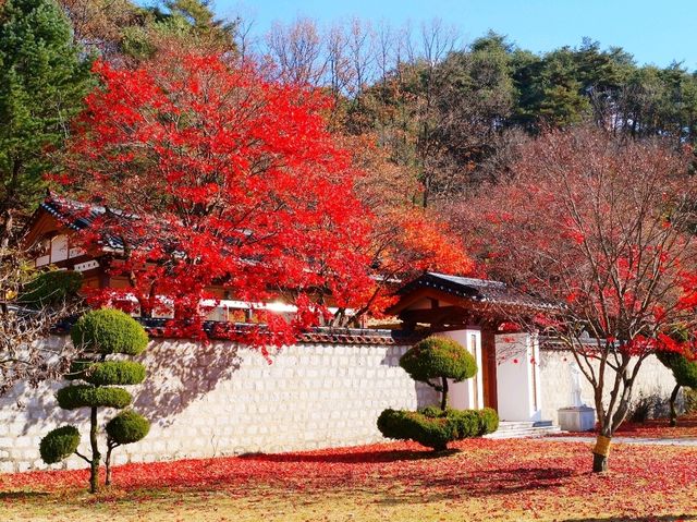 가을 인생샷 명소, 배론성지 여행