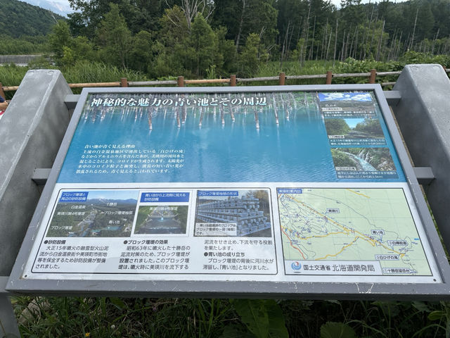 北海道—青池