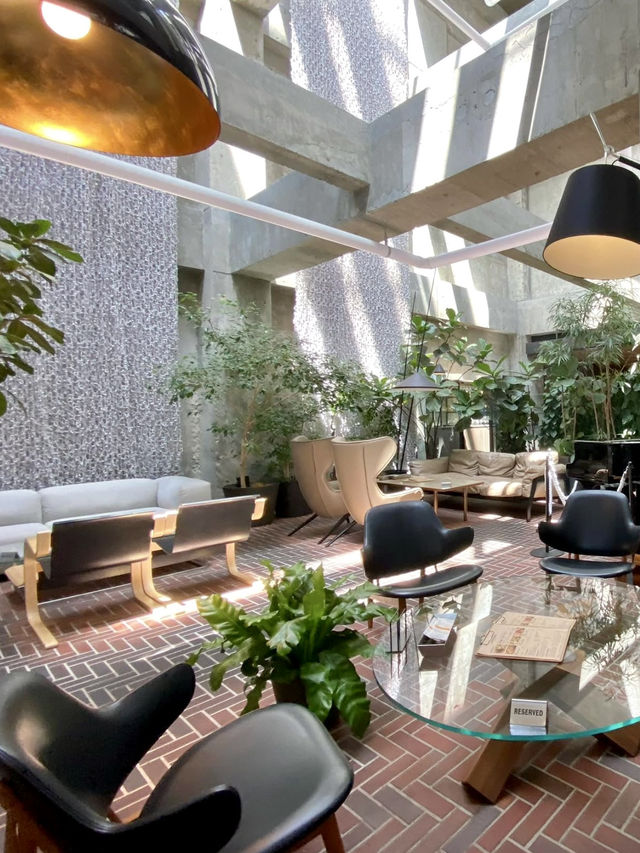 🍽️ Fine Dining Under the Atrium — The Lounge at SHIROIYA HOTEL