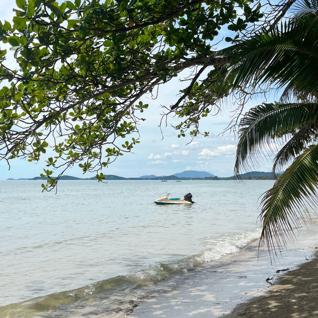 𝗠𝗔𝗖𝗢 𝗰𝗮𝗳𝗲 ☕️คาเฟ่เปิดใหม่ระยอง 🌴⛅️