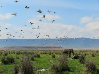 고대의 벽 안에 숨겨진 자연의 경이로움