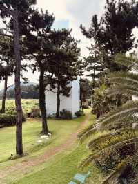 Excellent Self-Catering Value and Convenience