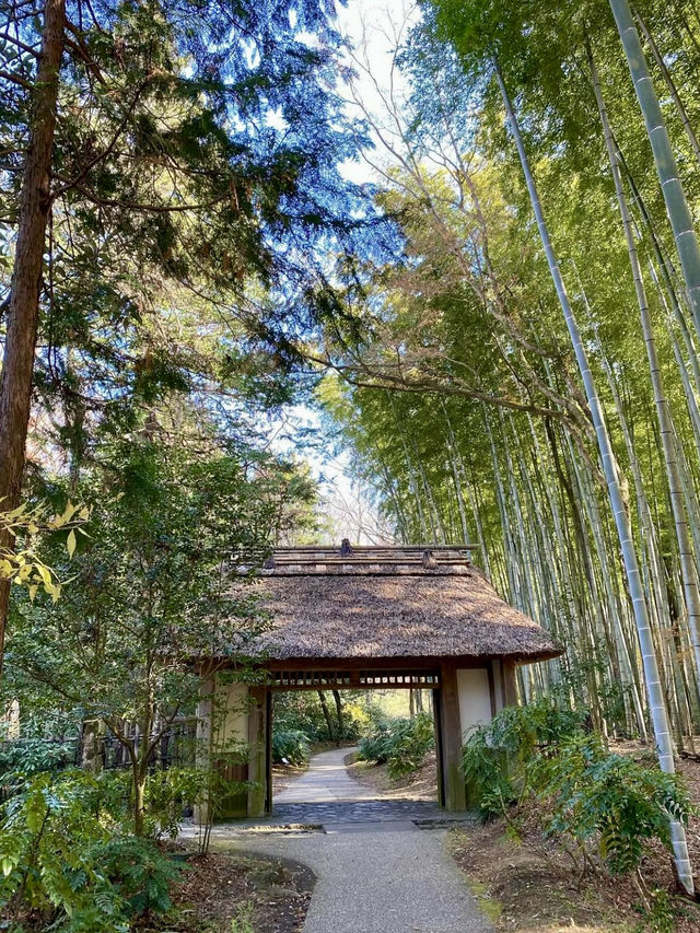 🏡 A Glimpse into Japan’s Modern History – Former Prime Minister’s Residence in Gotemba 🏡 A Glimpse into Japan’s Modern History – Former Prime Minister’s Residence in Gotemba