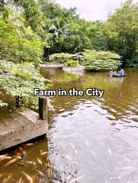 Farm in the City – A Must-Visit Interactive Urban Zoo Experience