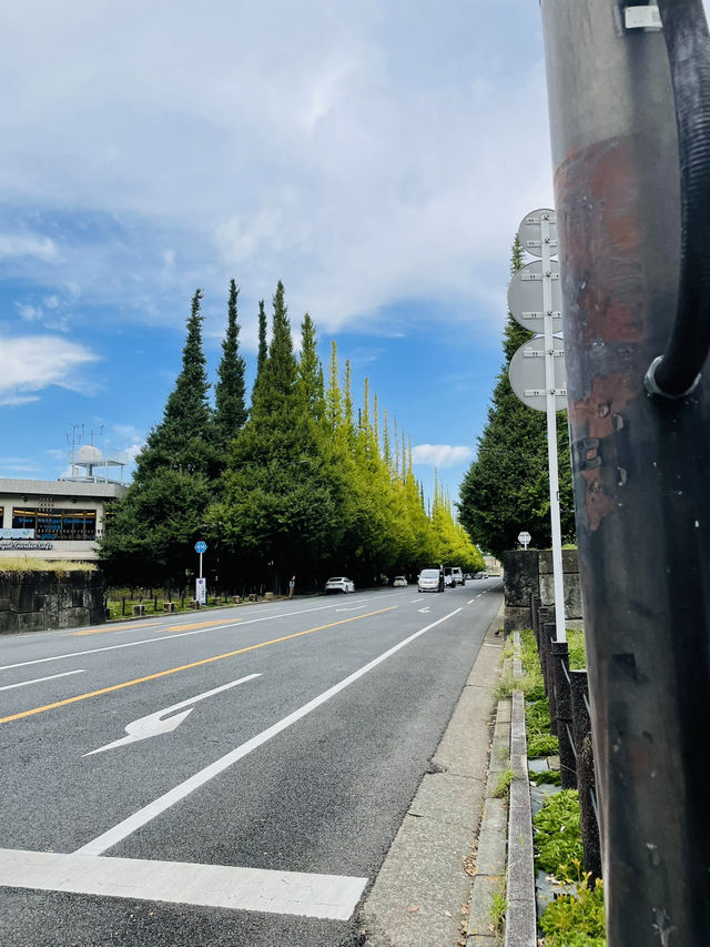 東京文青一日遊路線攻略 
