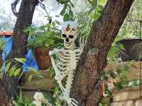 Tucson Botanical Gardens