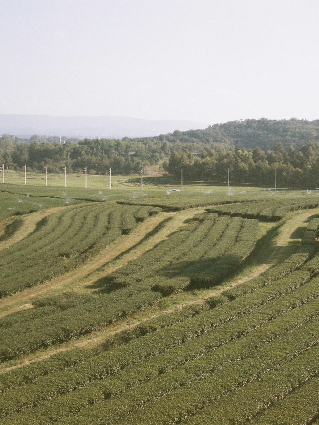 Chiang Rai (เชียงราย) 🏞️