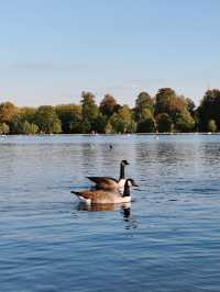 Hyde park🇬🇧🍁🍂