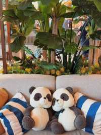 🍣【香港富麗敦海洋公園酒店】星耀廊「和風味遊下午茶」|舌尖上嘅日本漫遊記 🍡