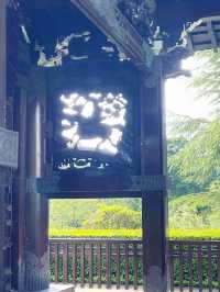 Your Spring Awakening: A Solo Escape to Kew Gardens