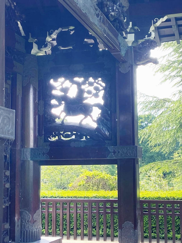 Your Spring Awakening: A Solo Escape to Kew Gardens