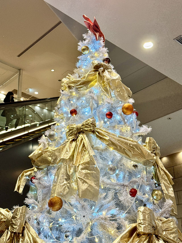 🎄Tokyo Skytree Town Dream Christmas 2025