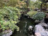 🌿 Jinan Wulongtan Park | The Easiest & Most Efficient Way to Explore