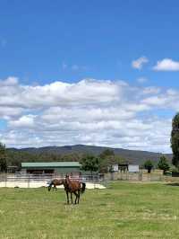 维州宝藏小镇Beechworth -11月维州最治愈的小镇旅行提案﻿