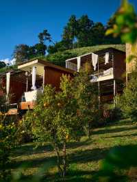 ผาปู่จอม แม่แตง เเชียงใหม