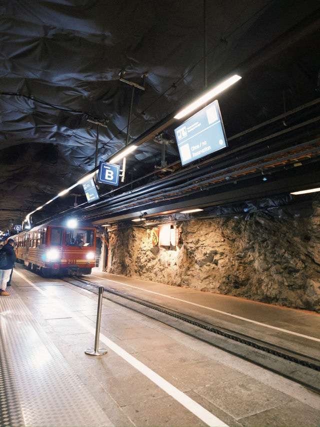 瑞士🇨🇭少女峰 遇暴風雪❄️ 瑞士🇨🇭少女峰 遇暴風雪❄️