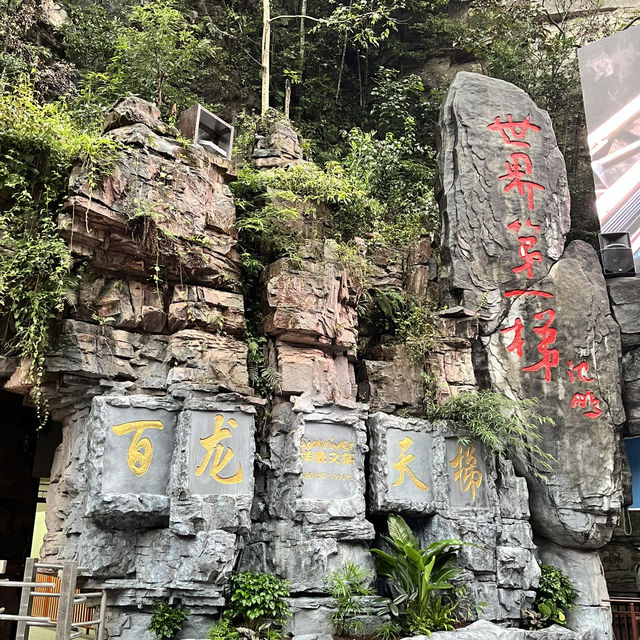 Zhangjiajie National Forest Park — East Gate One-Day Route That Actually Works Zhangjiajie National Forest Park — East Gate One-Day Route That Actually Works