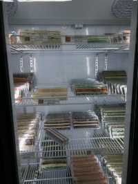 Waterfront Secrets🌙