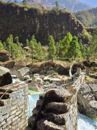 Where the Mountains Whisper: A Nilgiri Trekking Odyssey