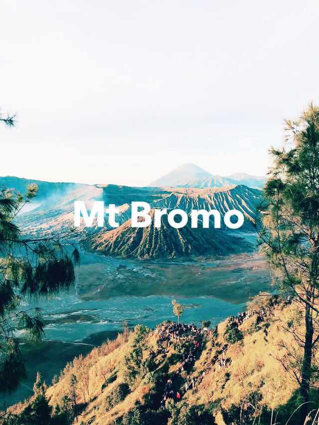 Epic Mount Bromo 🌄 Epic Mount Bromo 🌄