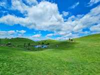 不用去新疆!在湘南郴州找到宫崎骏童话草原|蹒跚小旅人一日漫游